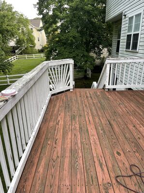 Deck Staining in Brooklyn, MD (6)