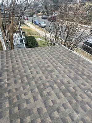 Roofing Services in Baltimore, MD (3)